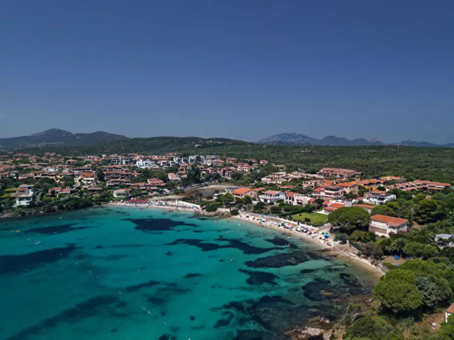 Immagine 40 di Villa in vendita  in via del cisto 3 a Golfo Aranci