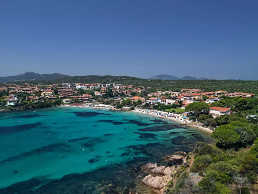 Immagine 41 di Villa in vendita  in via del cisto 3 a Golfo Aranci