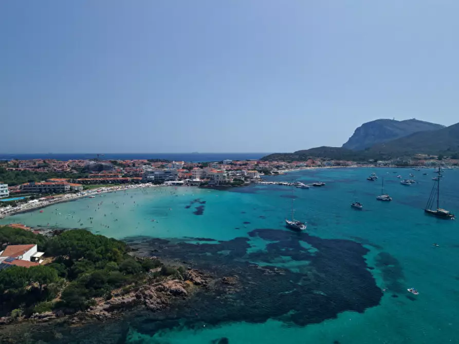 Immagine 42 di Villa in vendita  in via del cisto 3 a Golfo Aranci