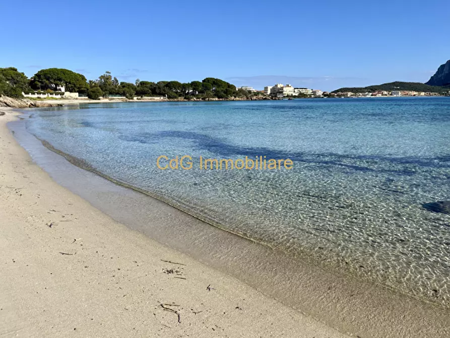 Immagine 43 di Villa in vendita  in via del cisto 3 a Golfo Aranci