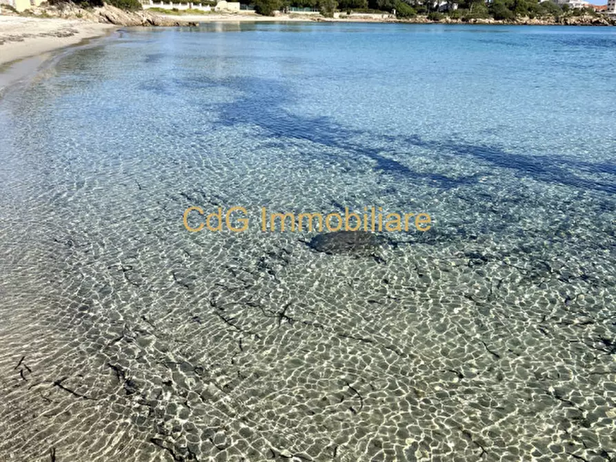 Immagine 46 di Villa in vendita  in via del cisto 3 a Golfo Aranci