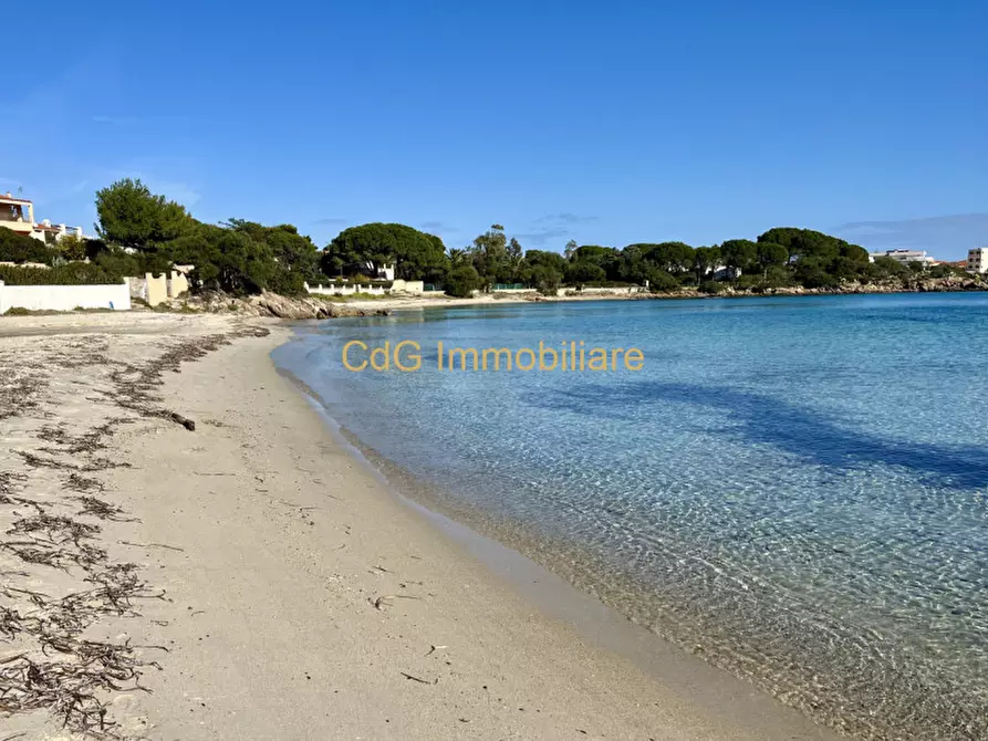 Immagine 49 di Villa in vendita  in via del cisto 3 a Golfo Aranci