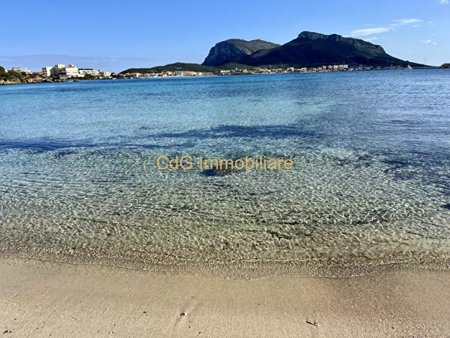 Immagine 50 di Villa in vendita  in via del cisto 3 a Golfo Aranci