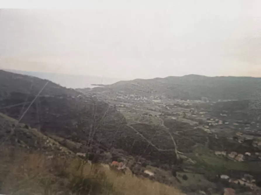 Immagine 1 di Terreno in vendita  in FRAZIONE CASE DEL CONTE a Montecorice