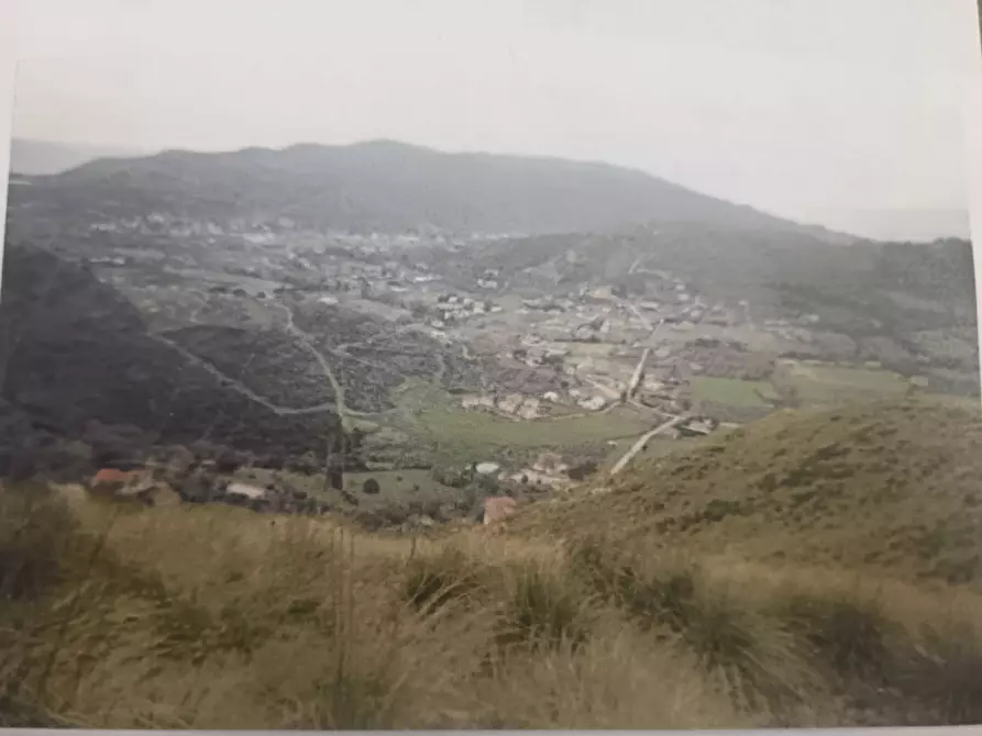 Immagine 4 di Terreno in vendita  in FRAZIONE CASE DEL CONTE a Montecorice