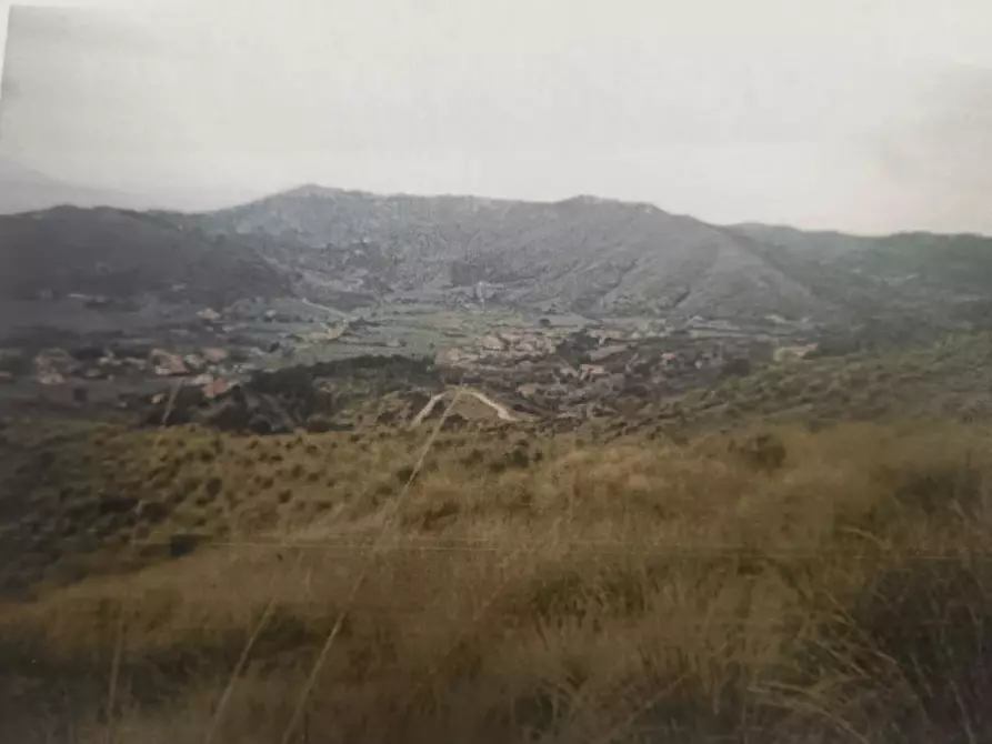 Immagine 5 di Terreno in vendita  in FRAZIONE CASE DEL CONTE a Montecorice