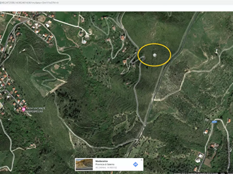 Immagine 9 di Terreno in vendita  in FRAZIONE CASE DEL CONTE a Montecorice