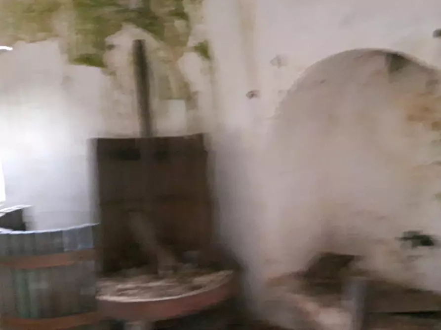 Immagine 5 di Rustico / casale in vendita  in C.da San Salvatore-Settarte a Ostuni