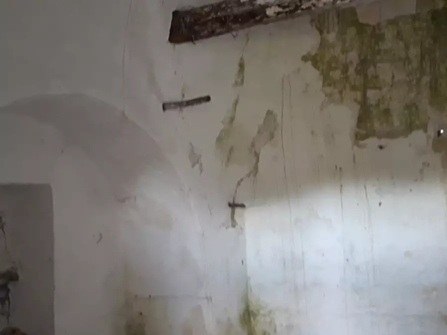 Immagine 6 di Rustico / casale in vendita  in C.da San Salvatore-Settarte a Ostuni
