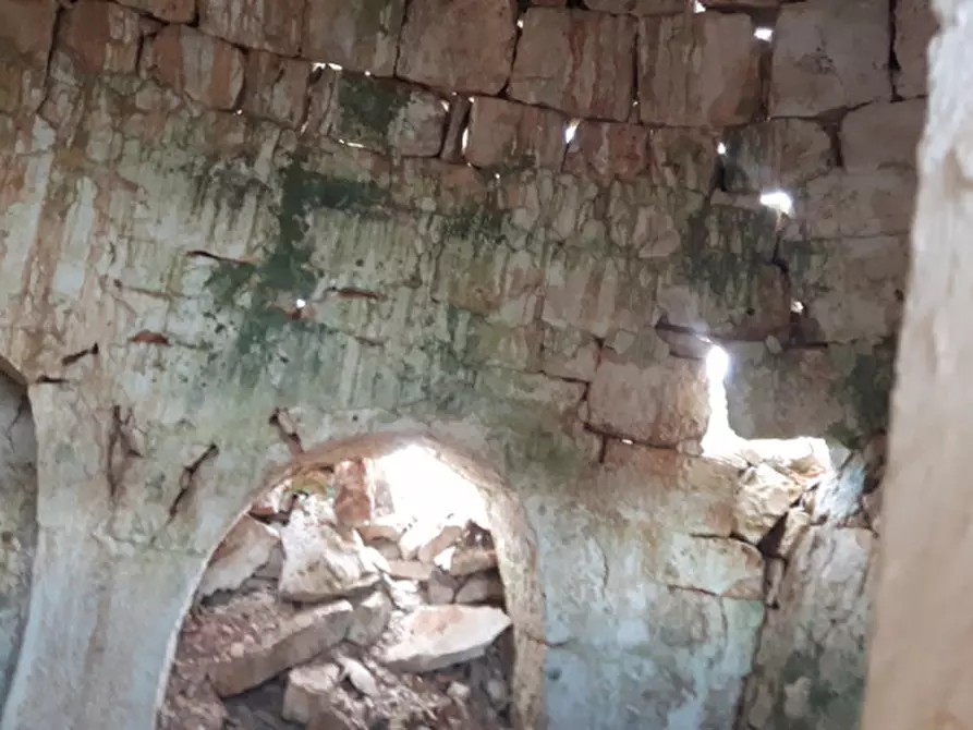 Immagine 8 di Rustico / casale in vendita  in C.da San Salvatore-Settarte a Ostuni