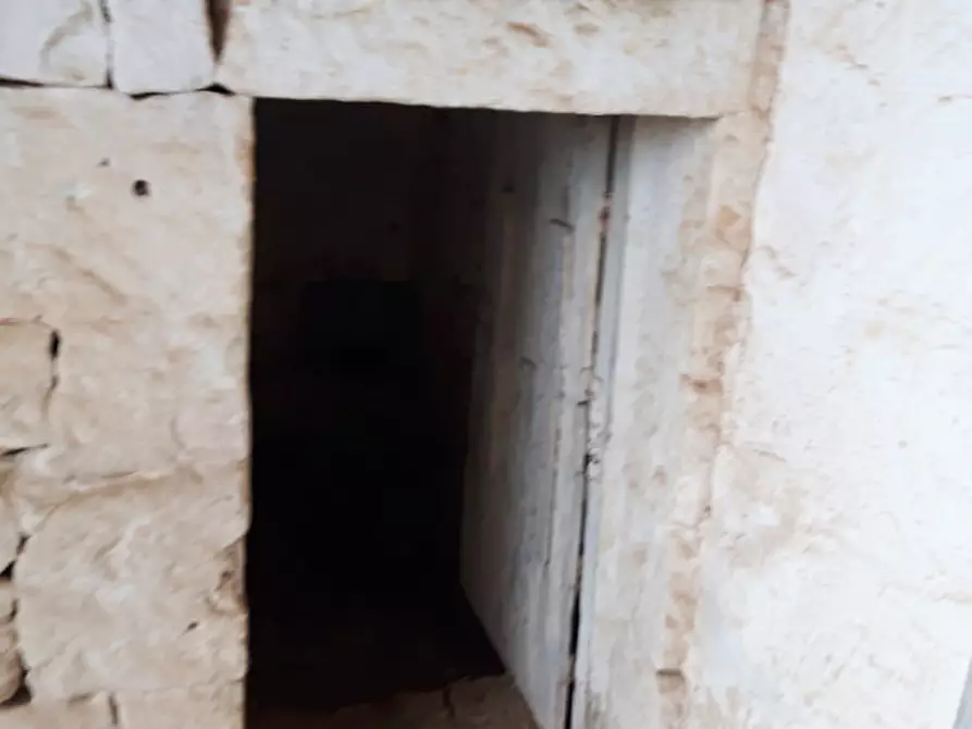 Immagine 9 di Rustico / casale in vendita  in C.da San Salvatore-Settarte a Ostuni