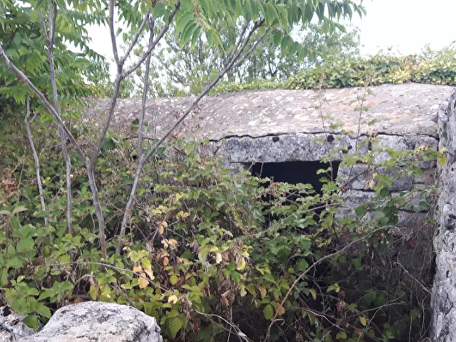 Immagine 11 di Rustico / casale in vendita  in C.da San Salvatore-Settarte a Ostuni