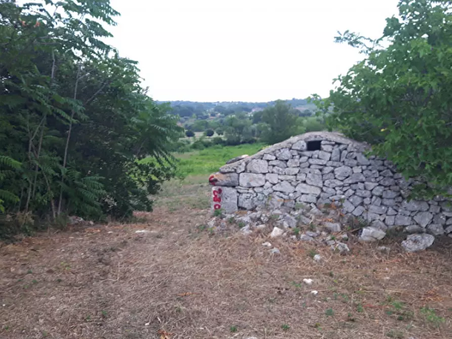 Immagine 15 di Rustico / casale in vendita  in C.da San Salvatore-Settarte a Ostuni