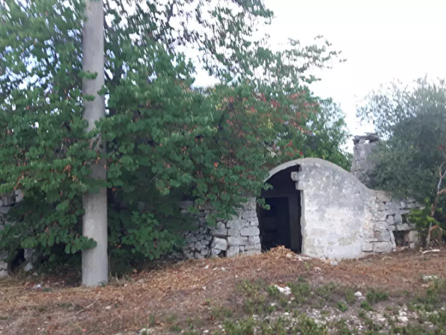 Immagine 16 di Rustico / casale in vendita  in C.da San Salvatore-Settarte a Ostuni