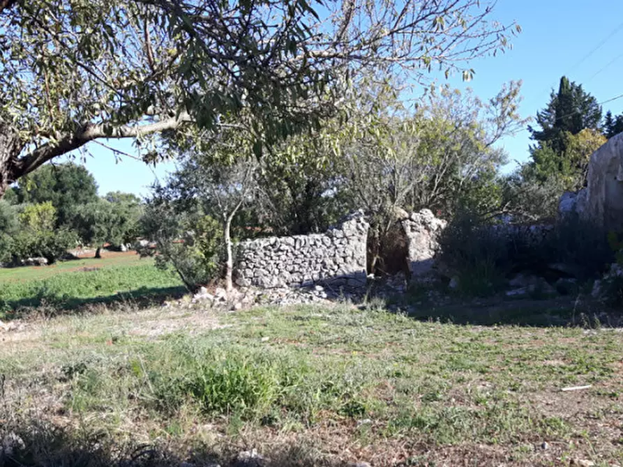 Immagine 4 di Rustico / casale in vendita  in C.da Deserto a Ostuni
