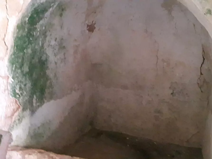 Immagine 7 di Rustico / casale in vendita  in C.da Deserto a Ostuni