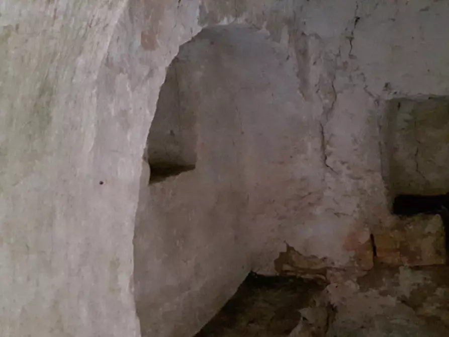 Immagine 10 di Rustico / casale in vendita  in C.da Deserto a Ostuni