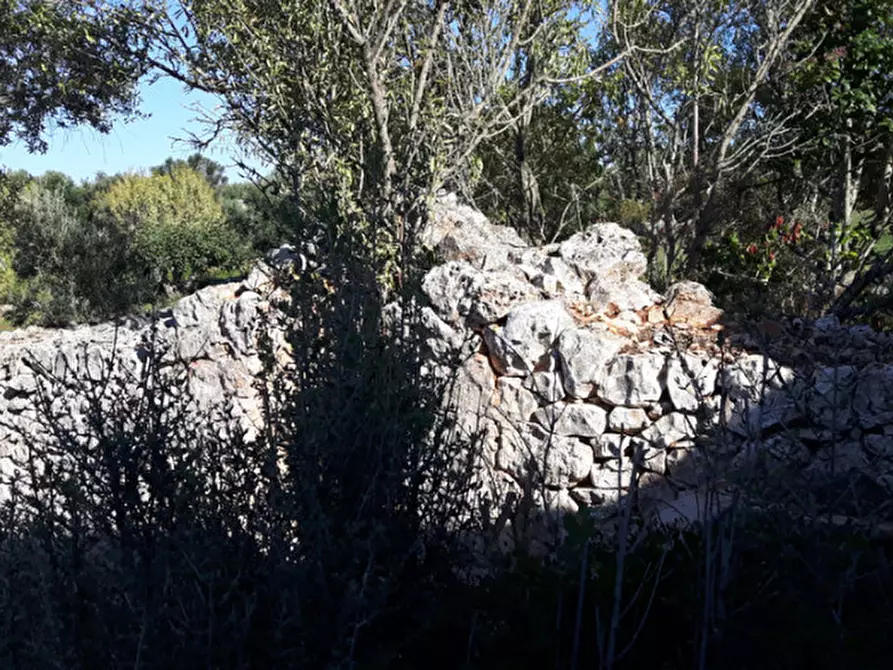 Immagine 11 di Rustico / casale in vendita  in C.da Deserto a Ostuni