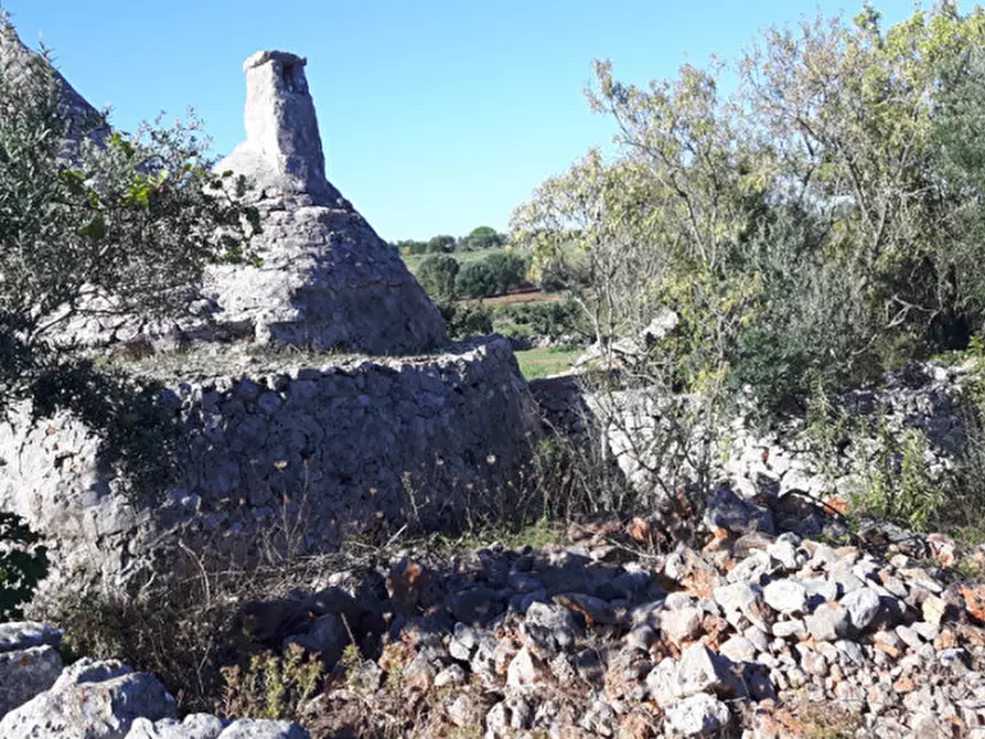 Immagine 12 di Rustico / casale in vendita  in C.da Deserto a Ostuni