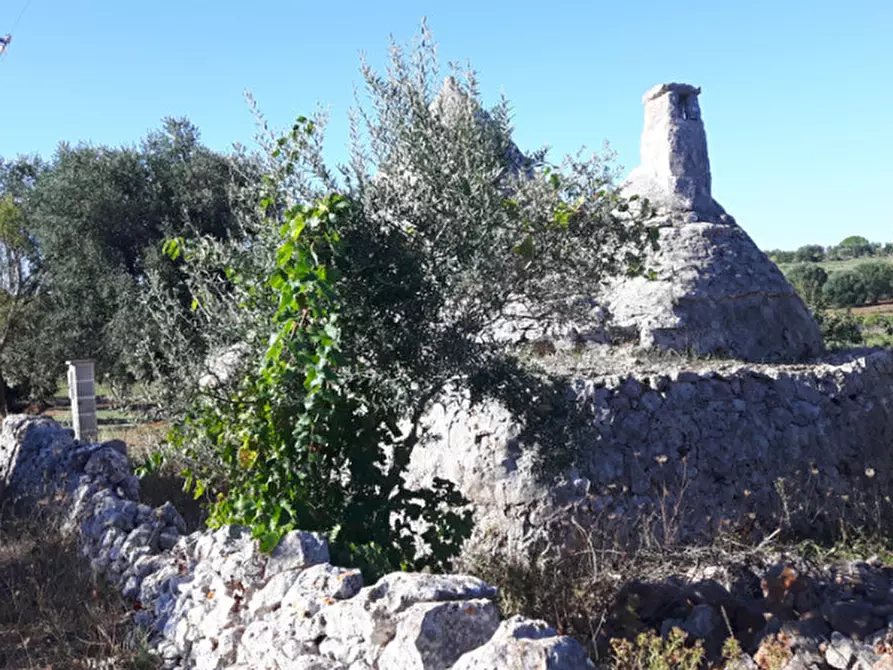 Immagine 13 di Rustico / casale in vendita  in C.da Deserto a Ostuni