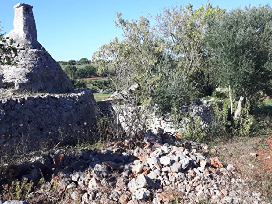 Immagine 14 di Rustico / casale in vendita  in C.da Deserto a Ostuni