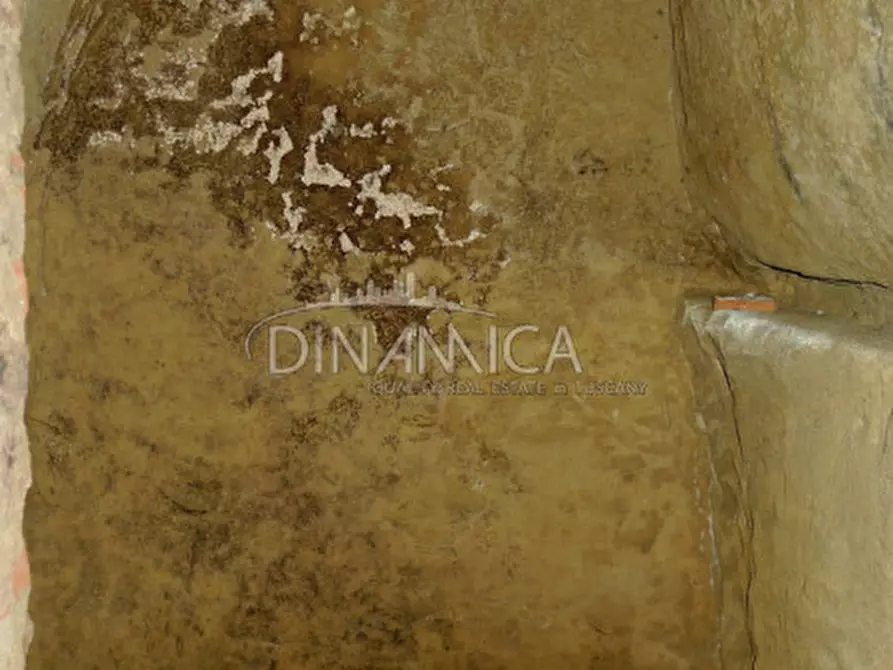 Immagine 18 di Appartamento in vendita  a Palaia