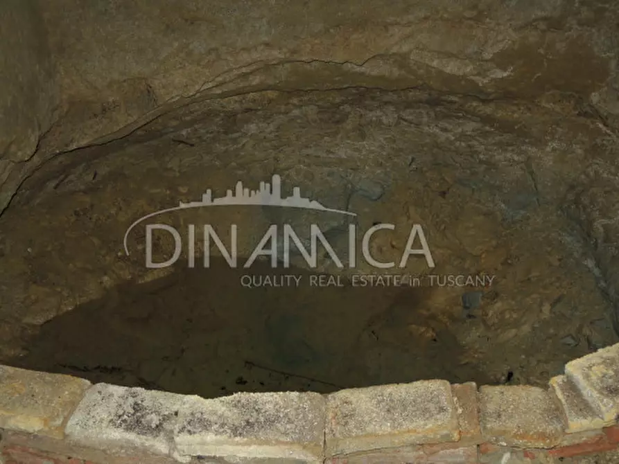 Immagine 22 di Appartamento in vendita  a Palaia