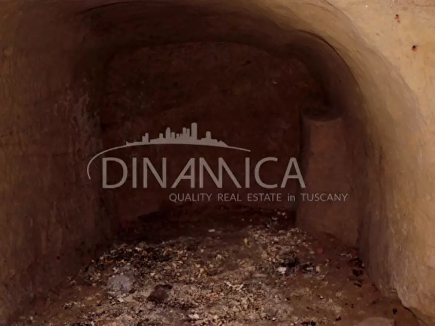 Immagine 24 di Appartamento in vendita  a Palaia