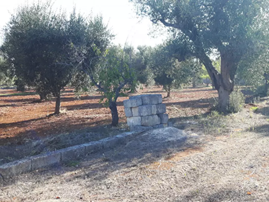 Immagine 12 di Rustico / casale in vendita  in C.da Deserto a Ostuni