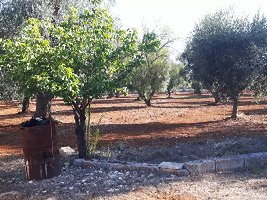 Immagine 13 di Rustico / casale in vendita  in C.da Deserto a Ostuni