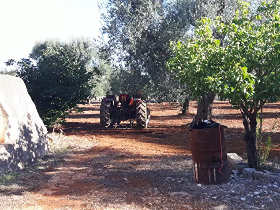Immagine 14 di Rustico / casale in vendita  in C.da Deserto a Ostuni