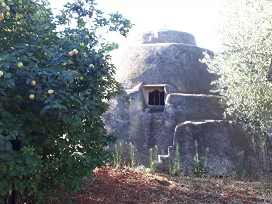 Immagine 15 di Rustico / casale in vendita  in C.da Deserto a Ostuni