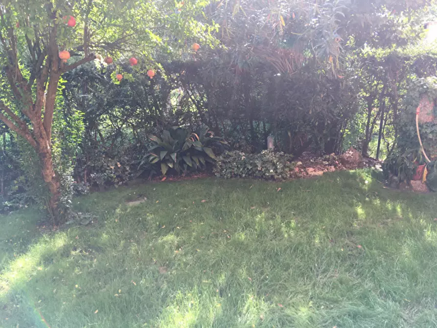 Immagine 13 di Villetta a schiera in affitto  a Dolo