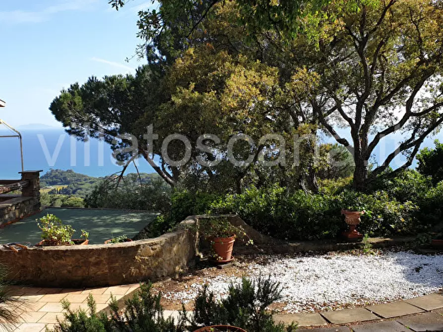 Immagine 4 di Villetta a schiera in vendita  a Castiglione Della Pescaia