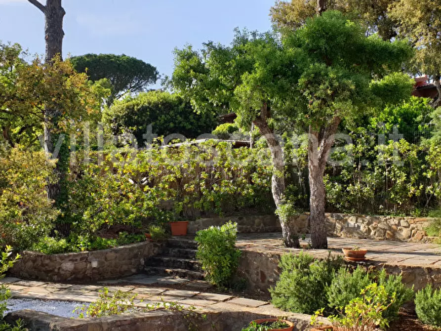 Immagine 7 di Villetta a schiera in vendita  a Castiglione Della Pescaia