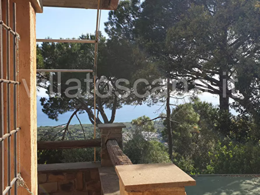 Immagine 8 di Villetta a schiera in vendita  a Castiglione Della Pescaia