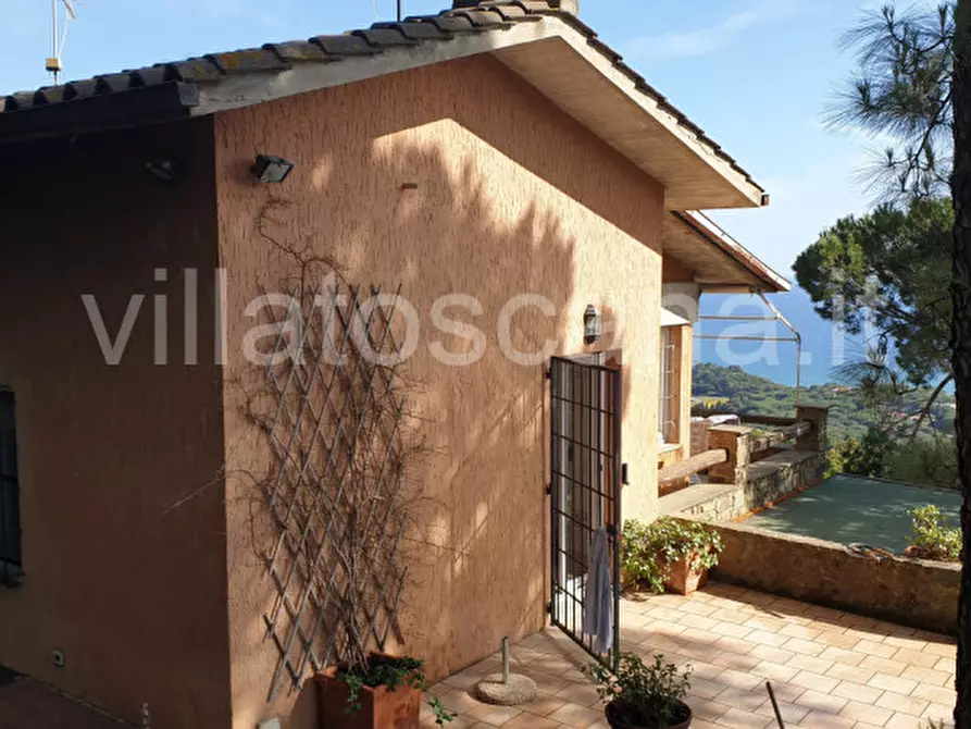 Immagine 9 di Villetta a schiera in vendita  a Castiglione Della Pescaia