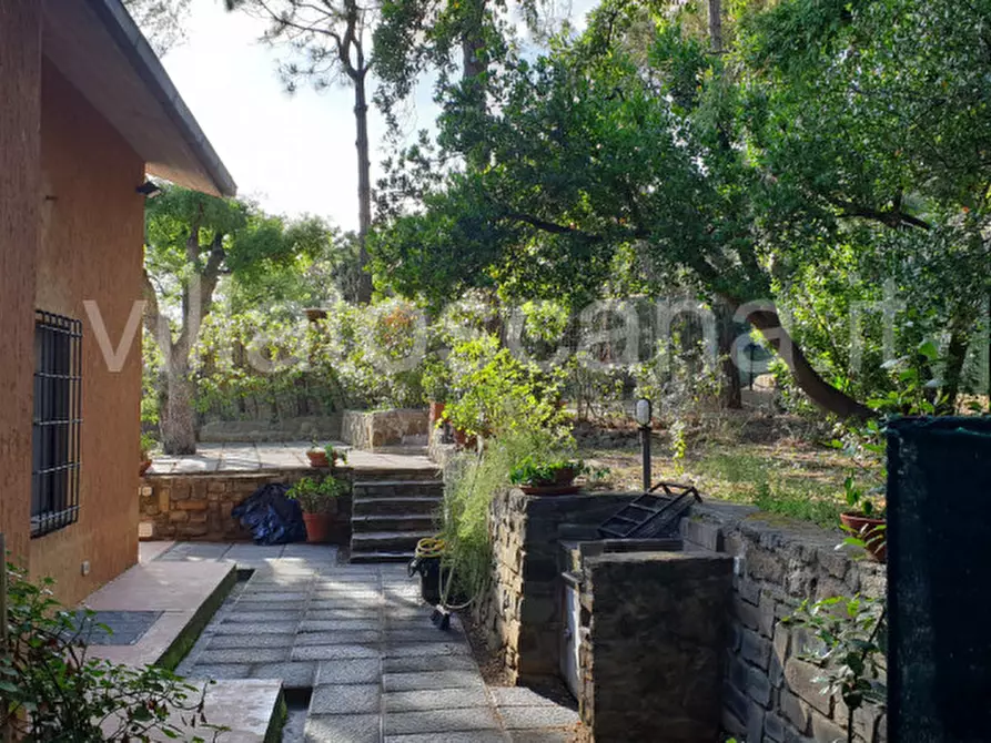 Immagine 12 di Villetta a schiera in vendita  a Castiglione Della Pescaia