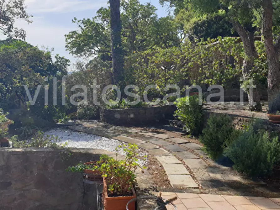 Immagine 14 di Villetta a schiera in vendita  a Castiglione Della Pescaia