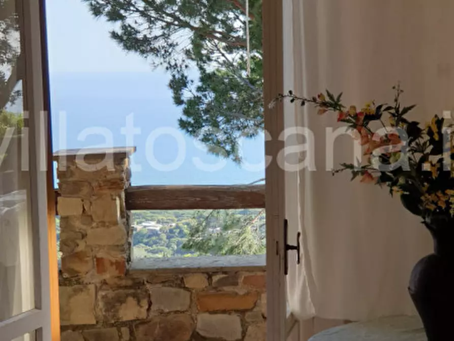 Immagine 16 di Villetta a schiera in vendita  a Castiglione Della Pescaia