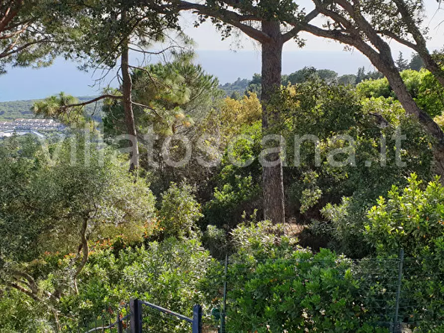 Immagine 29 di Villetta a schiera in vendita  a Castiglione Della Pescaia