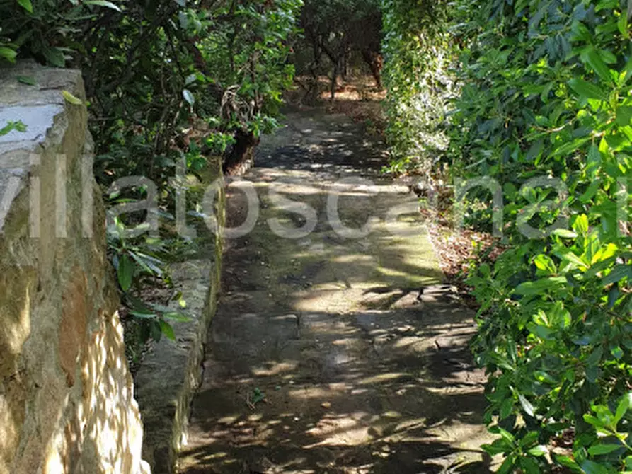 Immagine 30 di Villetta a schiera in vendita  a Castiglione Della Pescaia