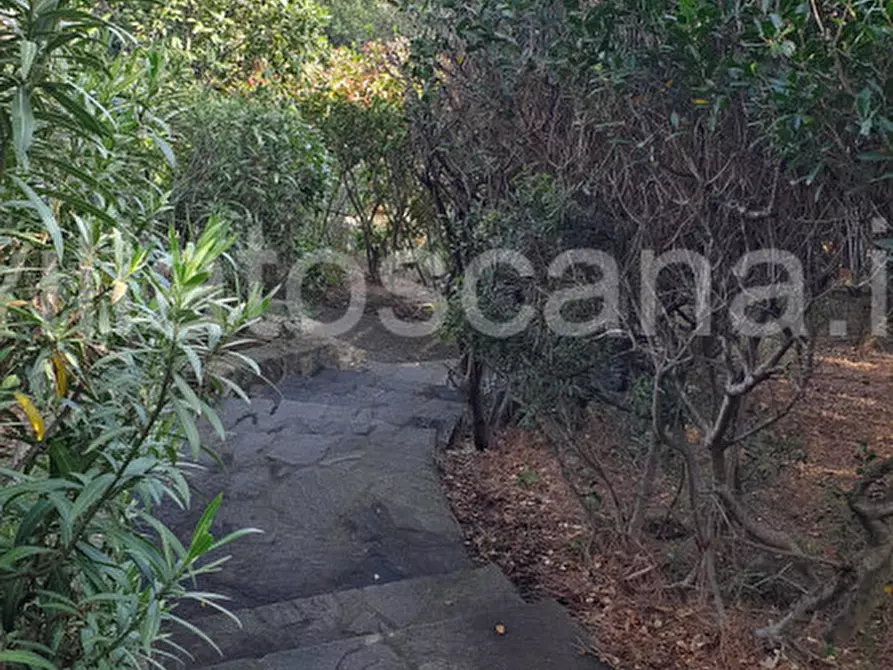 Immagine 33 di Villetta a schiera in vendita  a Castiglione Della Pescaia