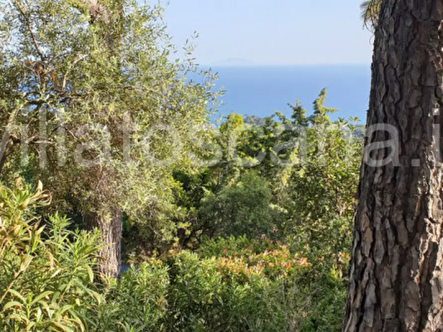 Immagine 35 di Villetta a schiera in vendita  a Castiglione Della Pescaia