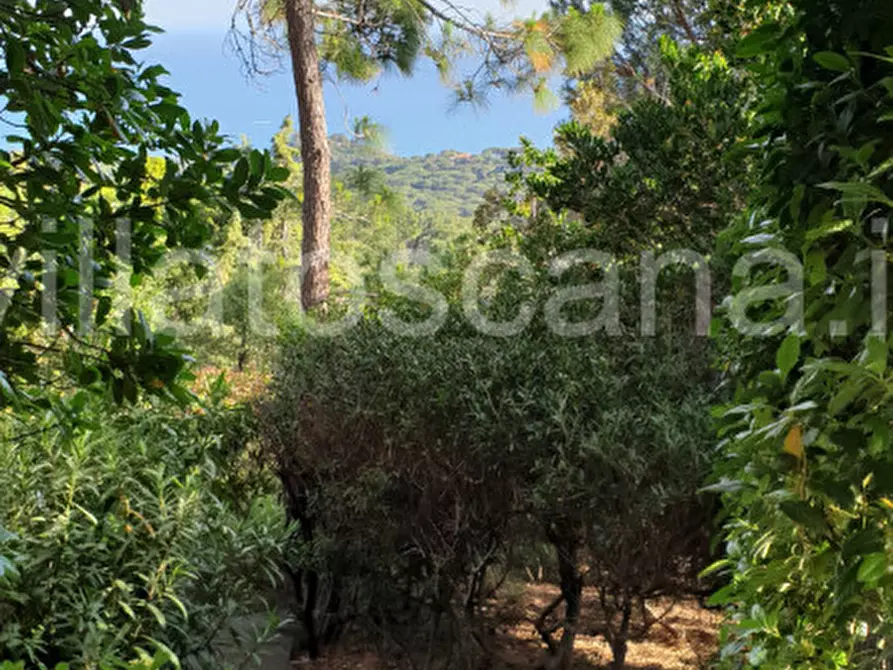 Immagine 37 di Villetta a schiera in vendita  a Castiglione Della Pescaia