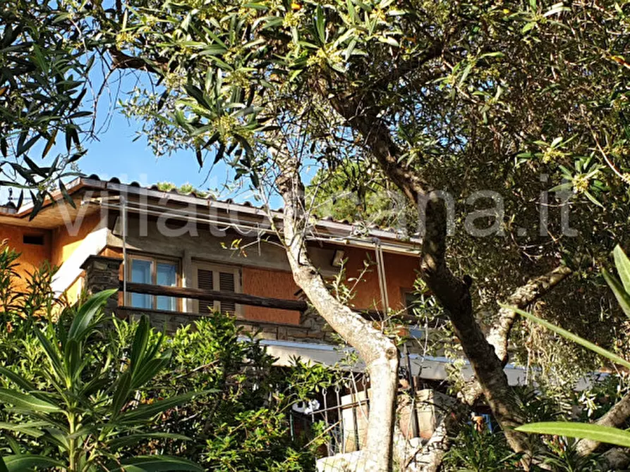 Immagine 39 di Villetta a schiera in vendita  a Castiglione Della Pescaia