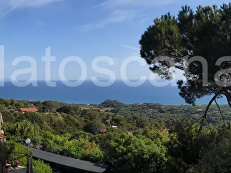 Immagine 43 di Villetta a schiera in vendita  a Castiglione Della Pescaia