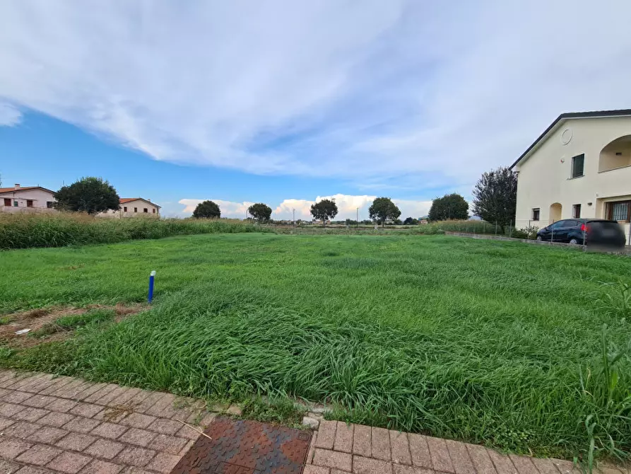 Immagine 3 di Terreno in vendita  in via san Luigi Orione a Borgo Veneto