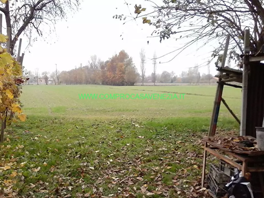 Immagine 3 di Rustico / casale in vendita  in bigone a Casale Sul Sile