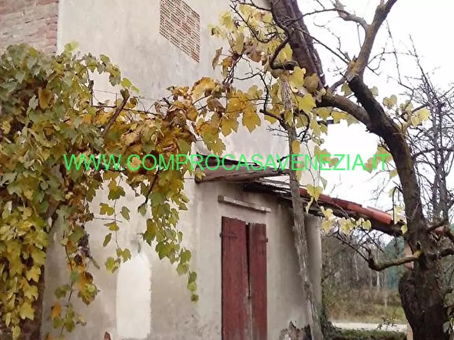 Immagine 6 di Rustico / casale in vendita  in bigone a Casale Sul Sile